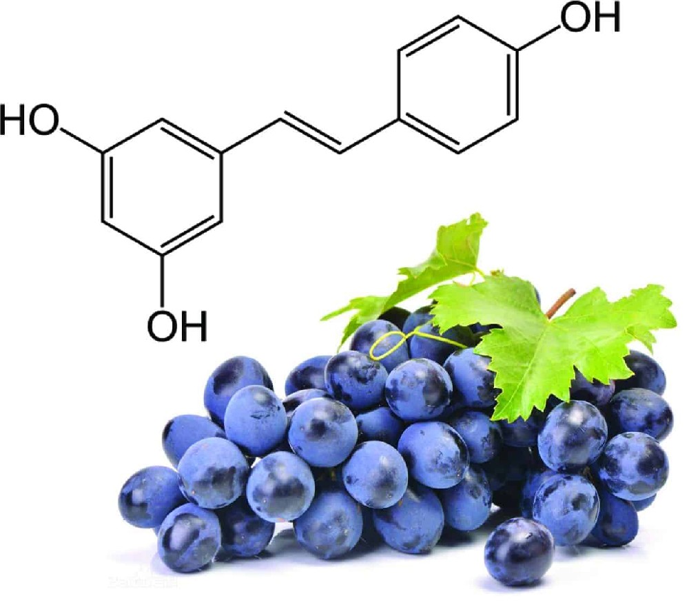 Resveratrol Powder: A Promising Antioxidant Supplement